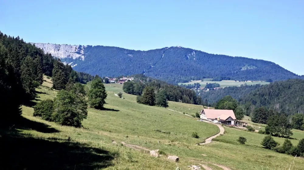 Le Suchet