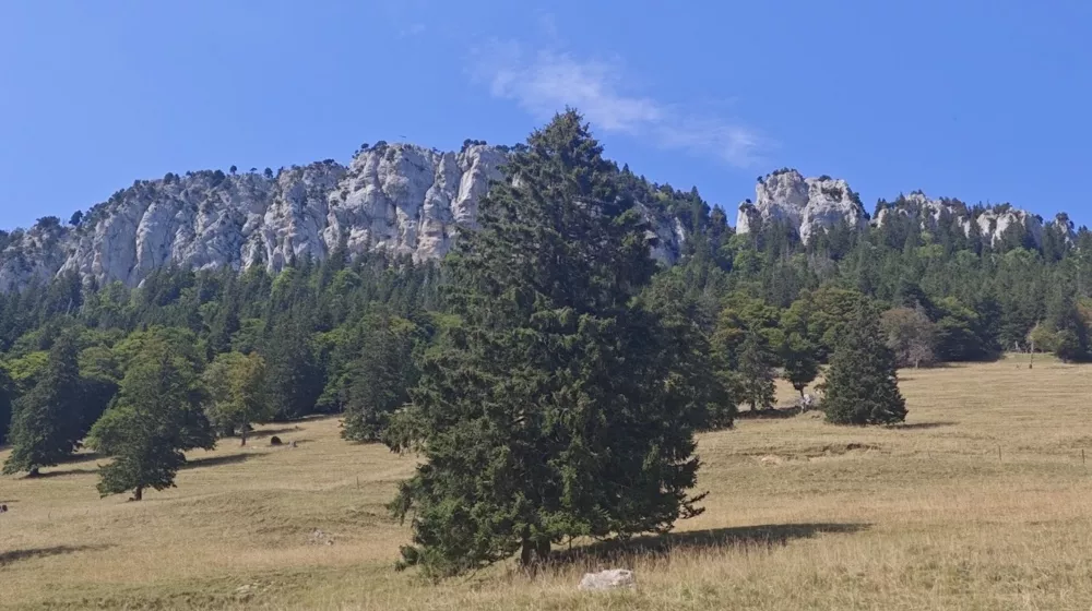 Les Aiguilles de Baulmes