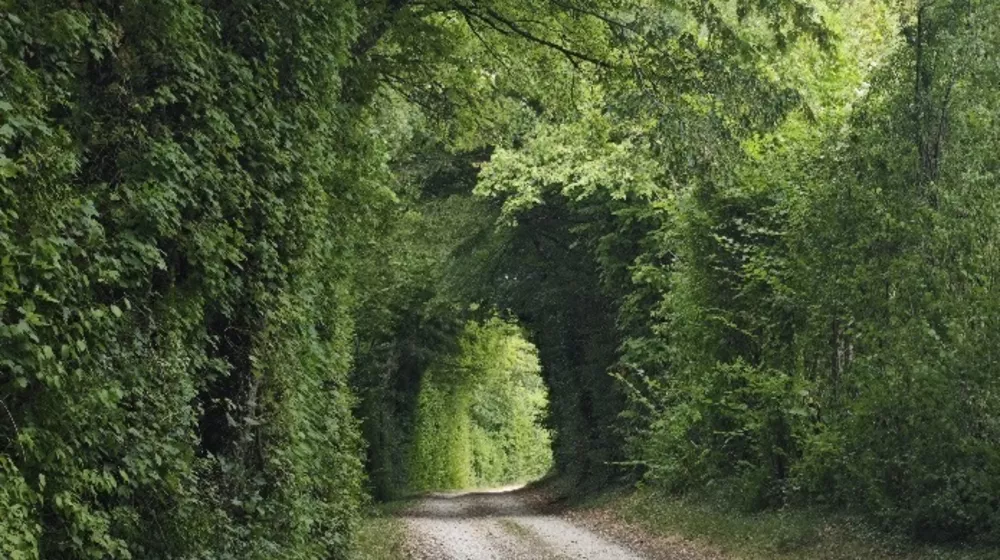 Sellières